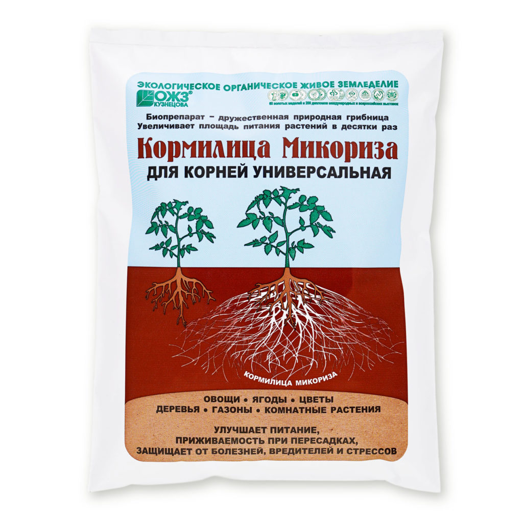 Кормилица хендай на русском
